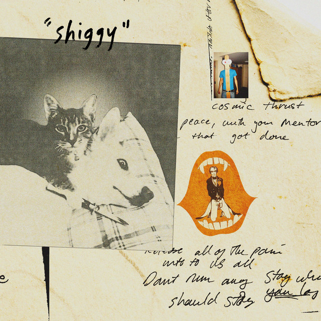 Album artwork for STEPHEN MALKMUS & THE JICKS - Shiggy
