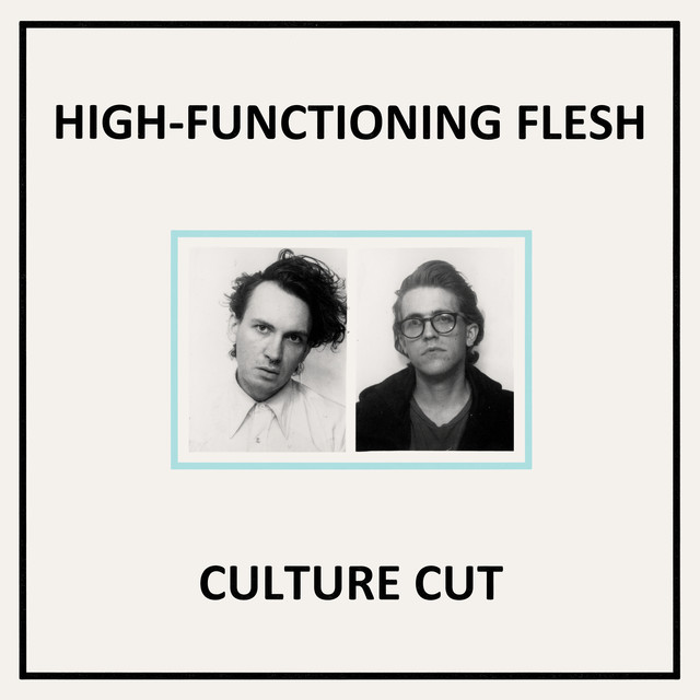 Album artwork for High-Functioning Flesh - Culture Cut