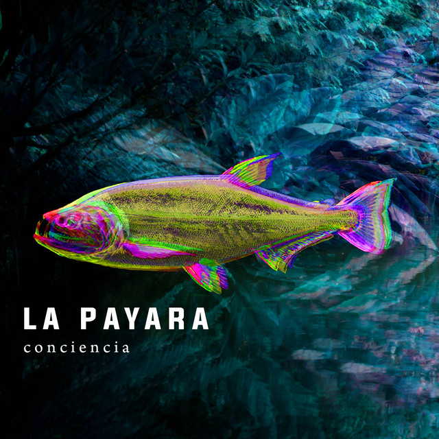 Album artwork for La Payara - Conciencia