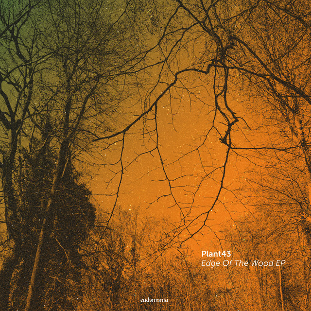 Album artwork for PLANT43 - Edge Of The Wood