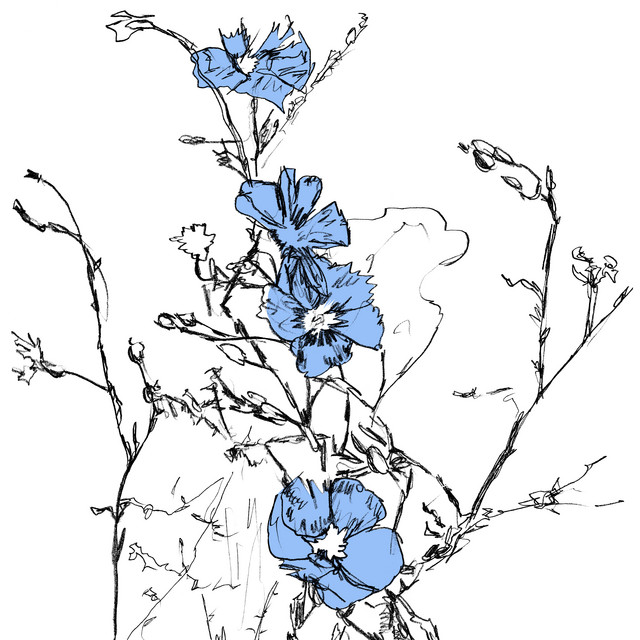 Album artwork for Graintable - Music to Watch Seeds Grow By 003: Graintable (Blue Flax)