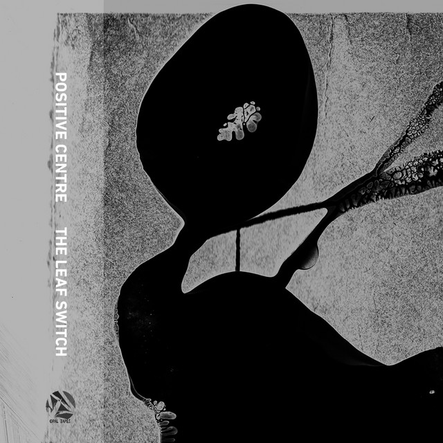 Album artwork for Positive Centre - The Leaf Switch