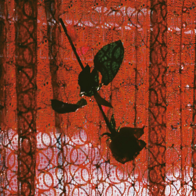 Album artwork for Studio Mule - Visible Cloaks Remix