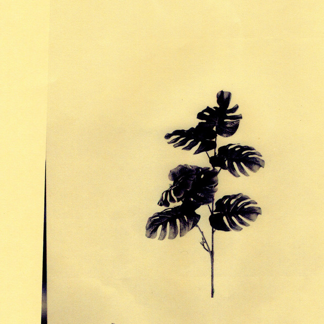 Album artwork for Various Artists - Continuing A Worn Out Tradition IV