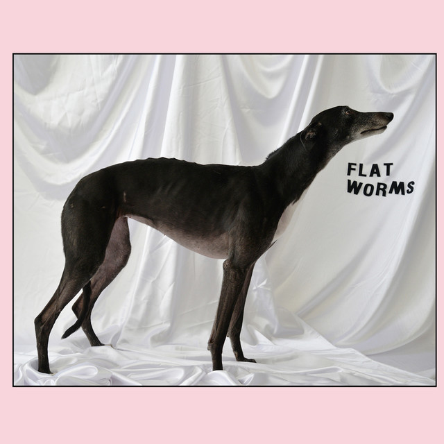 Album artwork for Flat Worms - Flat Worms