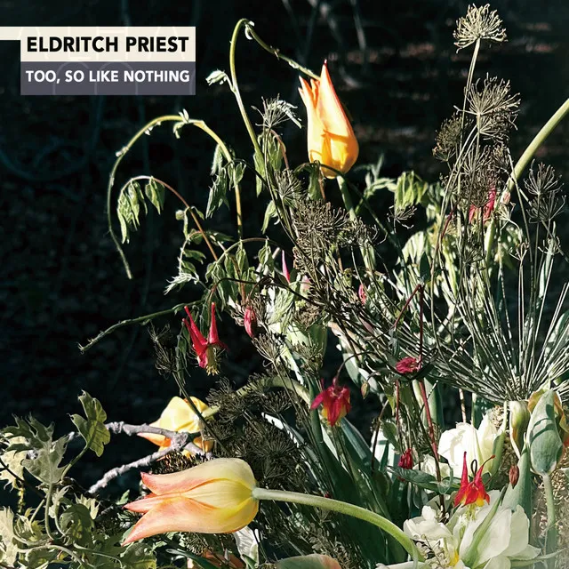 Album artwork for Eldritch Priest - too, so like nothing