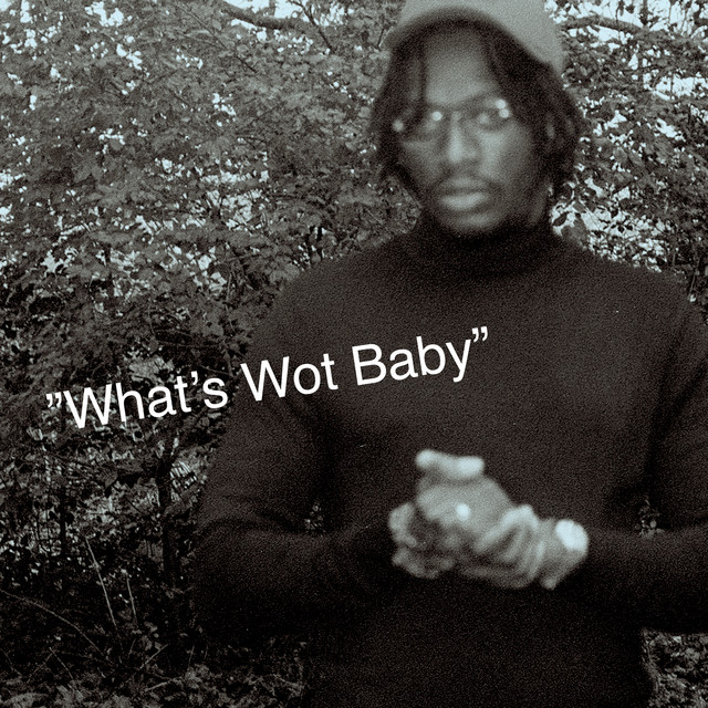 Album artwork for Brother May - What’s Wot Baby