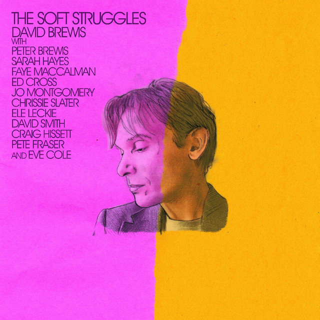 Album artwork for David Brewis - The Soft Struggles
