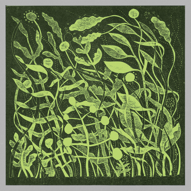 Album artwork for Kirk Barley - Lux
