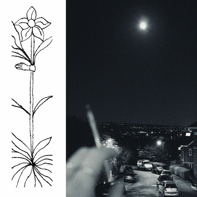 Album artwork for Jabu - A Soft and Gatherable Star