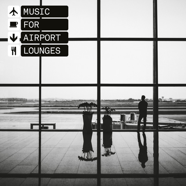 Album artwork for The Black Dog - Music For Airport Lounges