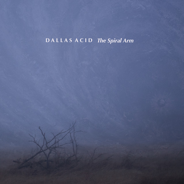 Album artwork for Dallas Acid - The Spiral Arm