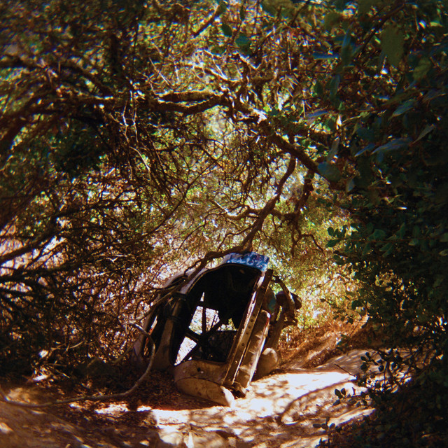 Album artwork for Ty Segall - Fantastic Tomb