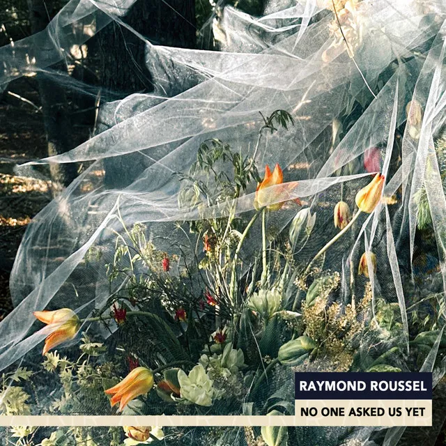 Album artwork for Raymond Roussel - no one asked us yet