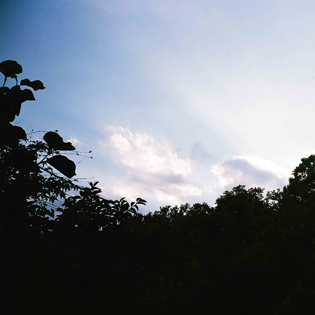 Album artwork for Celer - Memory Repetitions