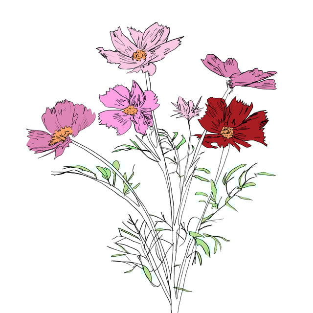 Album artwork for E Ruscha V - Music to Watch Seeds Grow By 004: E Ruscha V (Cosmos)