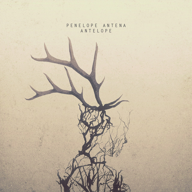 Album artwork for Penelope Antena - Antelope