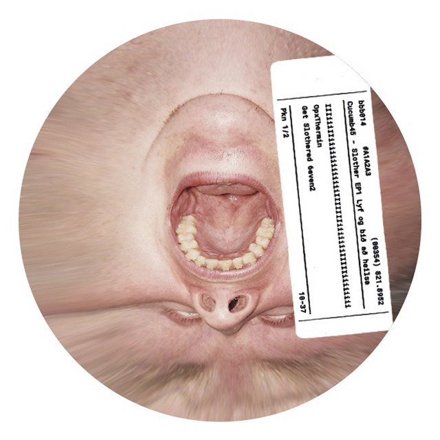 Album artwork for Cucumb45 - Slother EP1 Lyf og bið að heilsa