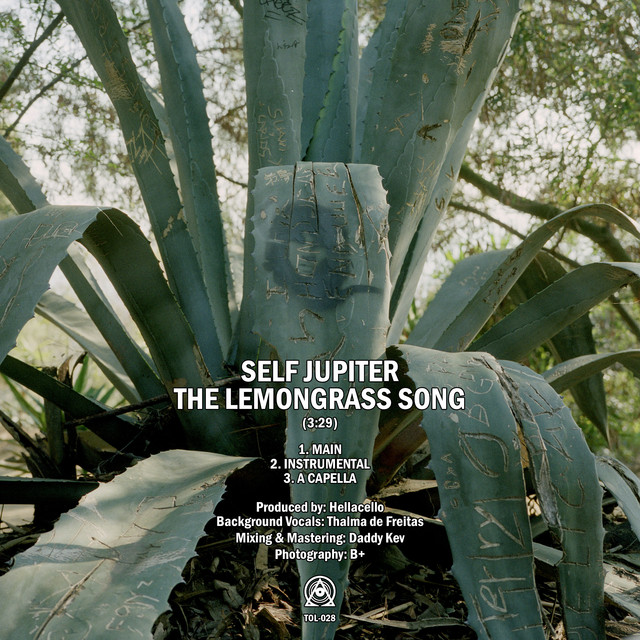 Album artwork for SELF JUPITER - The Lemongrass Song