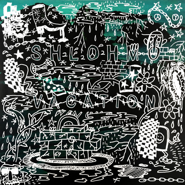 Album artwork for Shlohmo - Wen 222