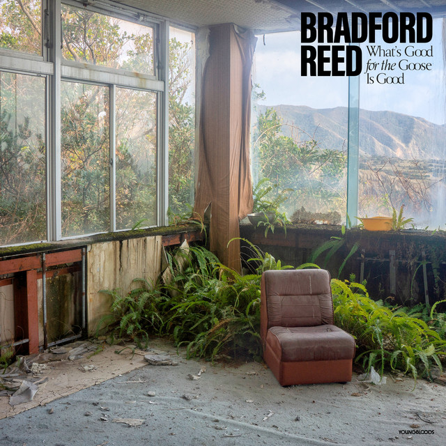 Album artwork for Bradford Reed - What's Good for the Goose Is Good