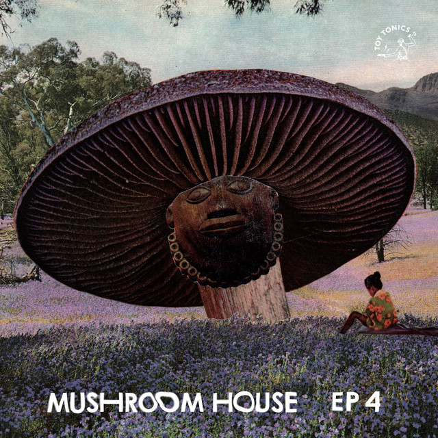 Album artwork for Various Artists - Mushroom House EP4