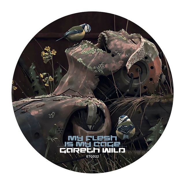 Album artwork for Gareth Wild - My Flesh Is My Cage