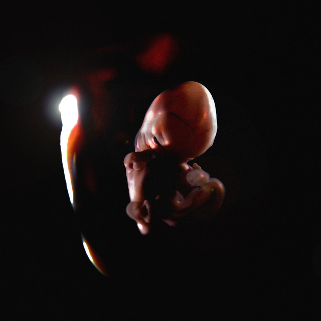 Album artwork for Prison Religion - RESONANCE IN EXOPLANETARY HYBRIDIZATION