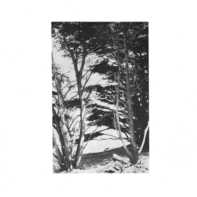 Album artwork for Rick Deitrick - Gentle Wilderness