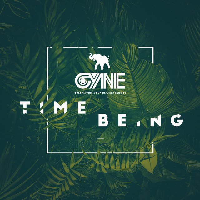 Album artwork for CYNE - Time Being (Deluxe Edition)