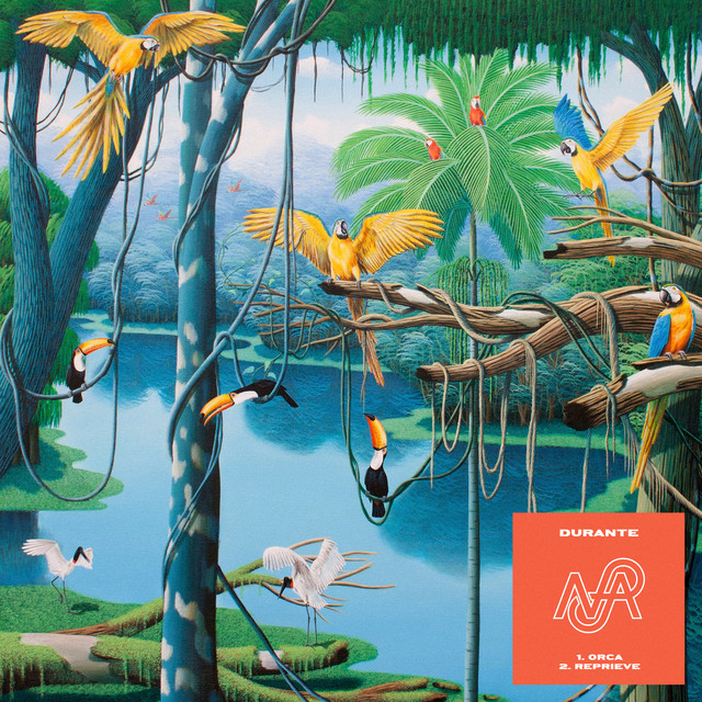 Album artwork for Durante - Orca