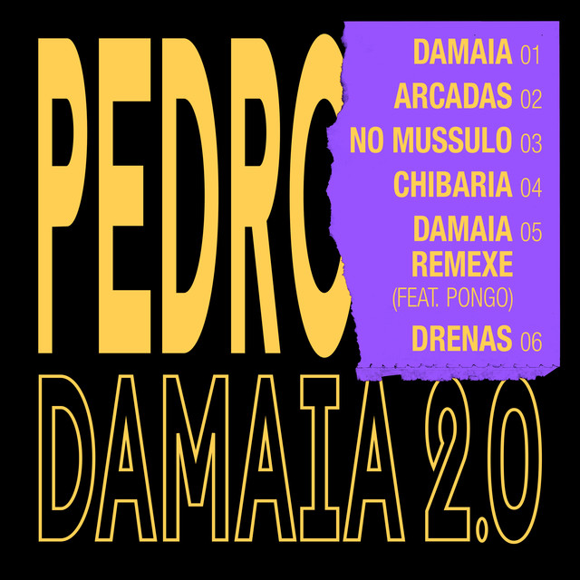 Album artwork for PEDRO - Damaia 2.0