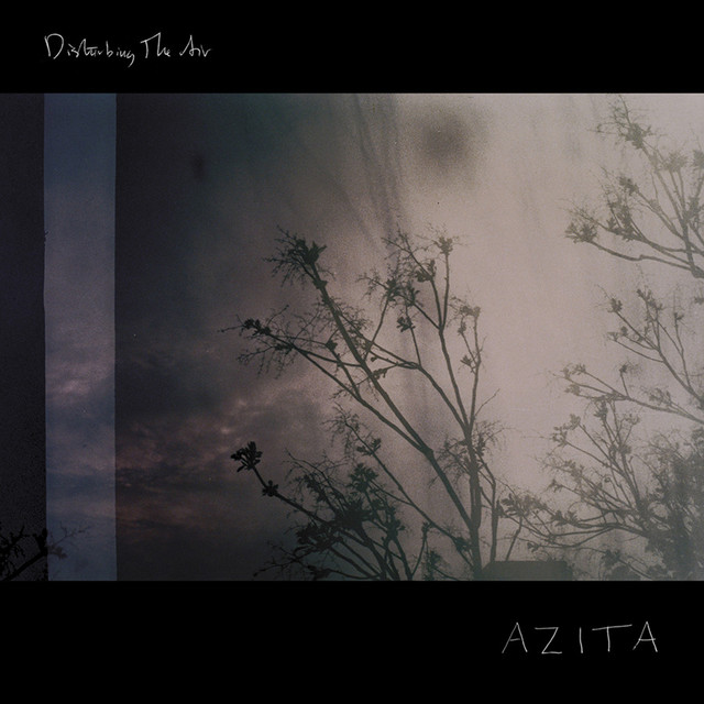 Album artwork for AZITA - Disturbing The Air