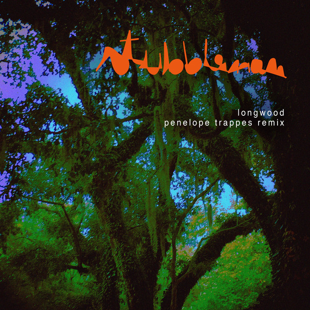 Album artwork for Stubbleman - Longwood (Penelope Trappes Remix)