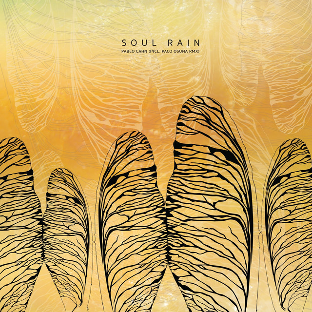 Album artwork for Pablo Cahn - Soul Rain (Incl. Paco Osuna RMX)