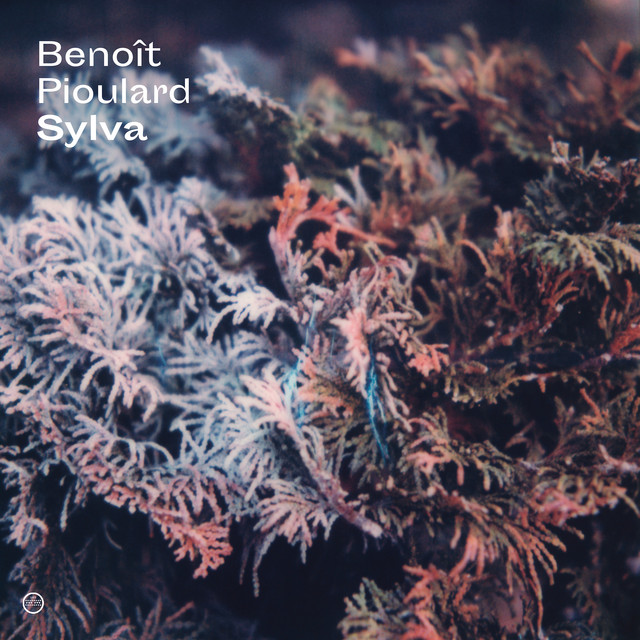 Album artwork for Benoît Pioulard - Sylva