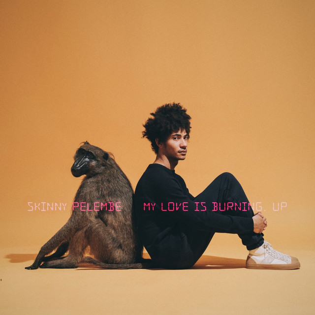Album artwork for Skinny Pelembe - My Love Is Burning, Up