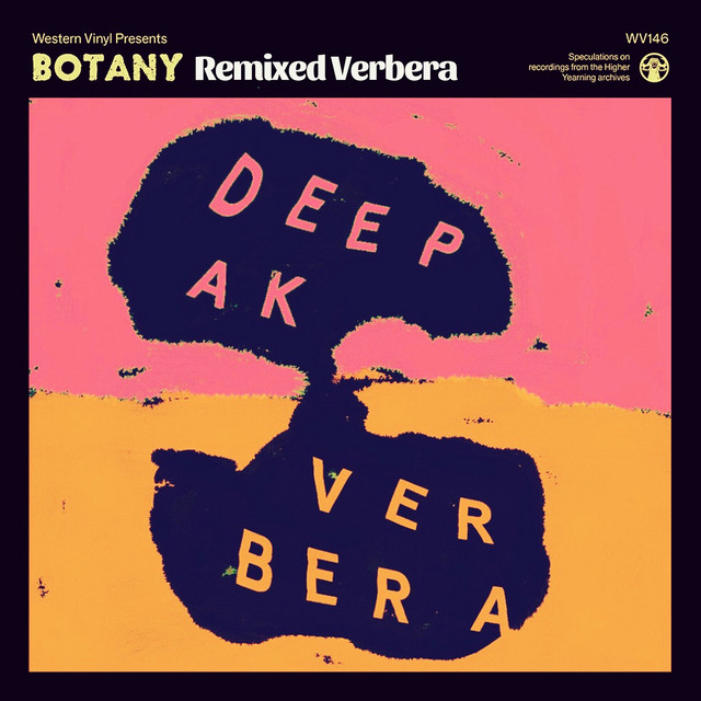 Album artwork for BOTANY - Remixed Verbera