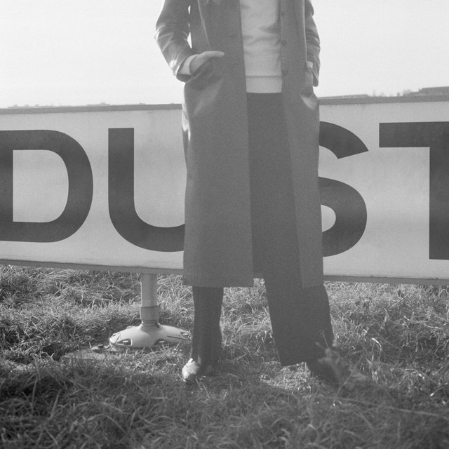 Album artwork for Laurel Halo - Dust