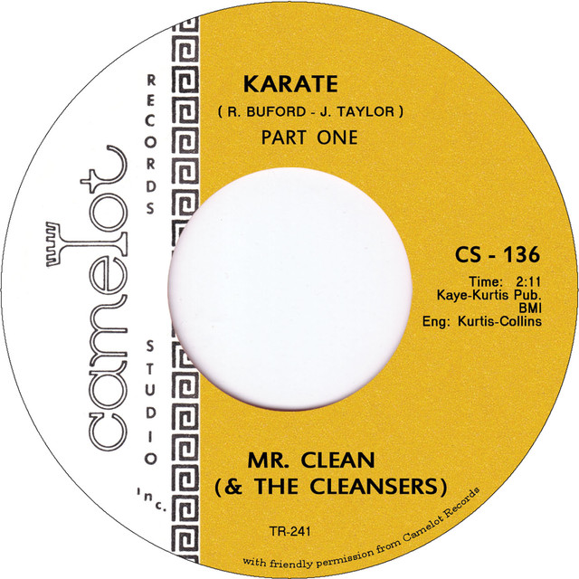 Album artwork for Mr. Clean and the Cleansers - Karate