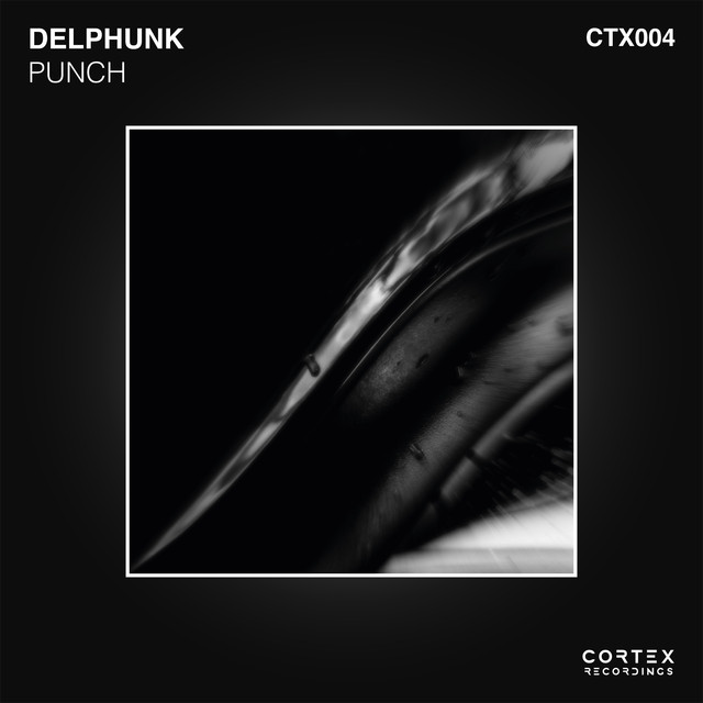 Album artwork for Delphunk - Punch