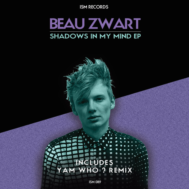 Album artwork for Beau Zwart - Shadows in My Mind