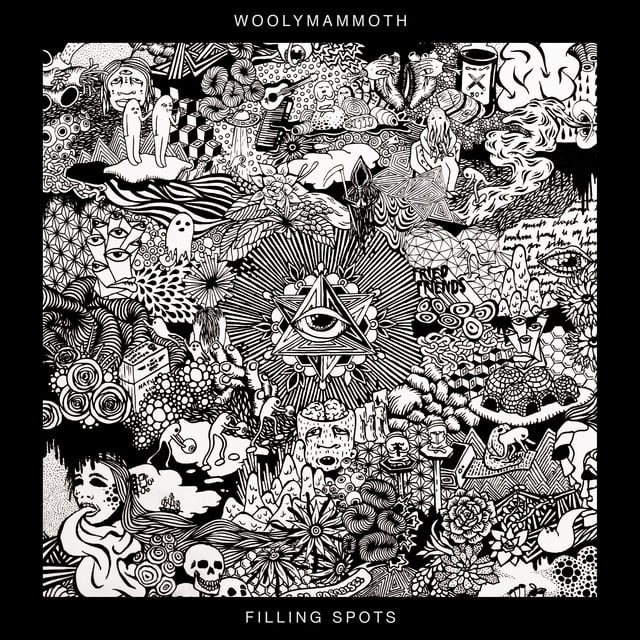Album artwork for Woolymammoth - Filling Spots
