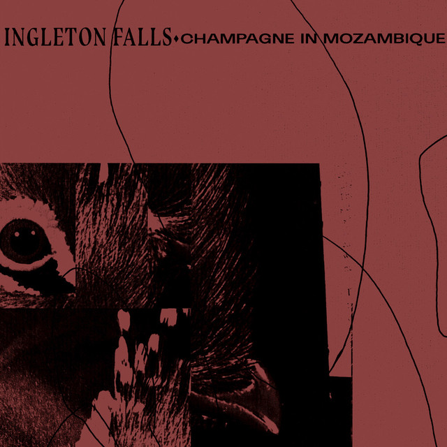 Album artwork for Ingleton Falls - Champagne In Mozambique