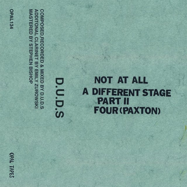 Album artwork for D.U.D.S. - Not At All / A Different Stage, Pt. 2