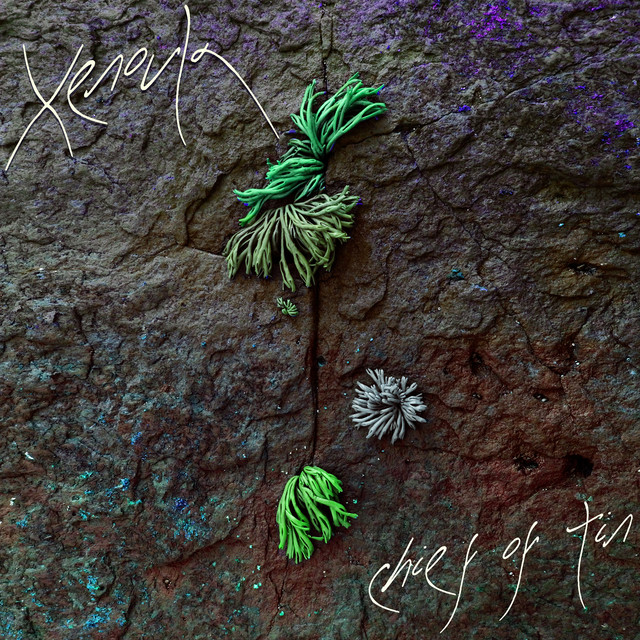 Album artwork for Xenoula - Chief Of Tin