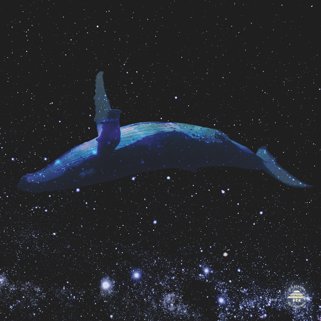 Album artwork for Hans Berg - Whales