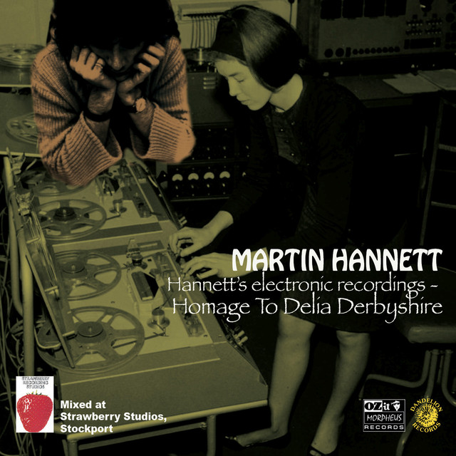 Album artwork for Martin Hannett - Hannett's Electronic Recordings - Homage To Delia Derbyshire