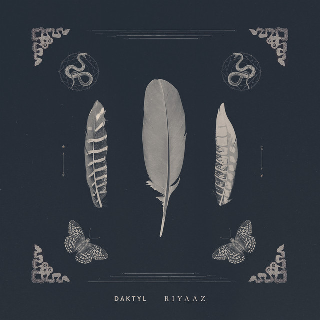 Album artwork for Daktyl - Riyaaz