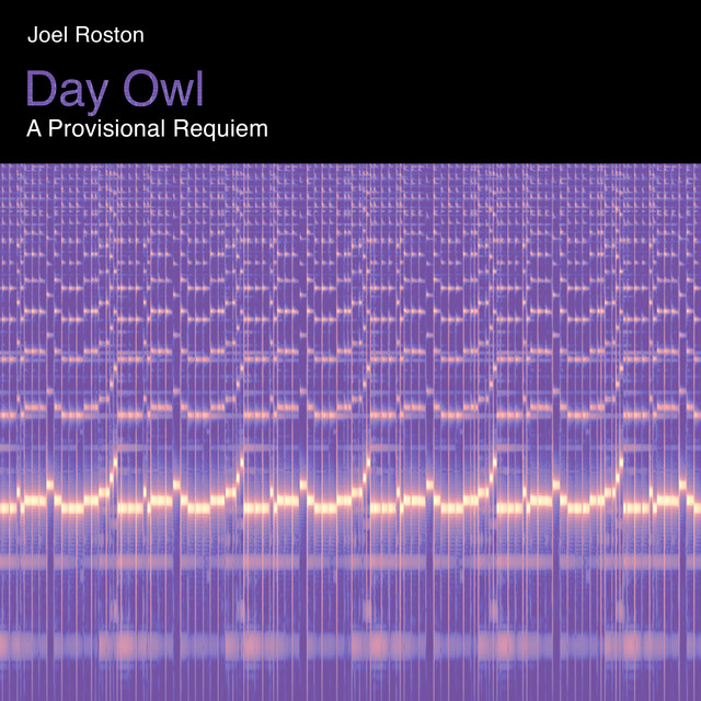 Album artwork for Joel Roston - Day Owl
